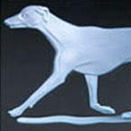 Whippet Show Awards