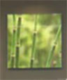 Peoria Hospital Donor Wall Peoria Hospital Donor Wall